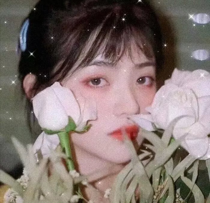 梦露与我的浪漫周记
